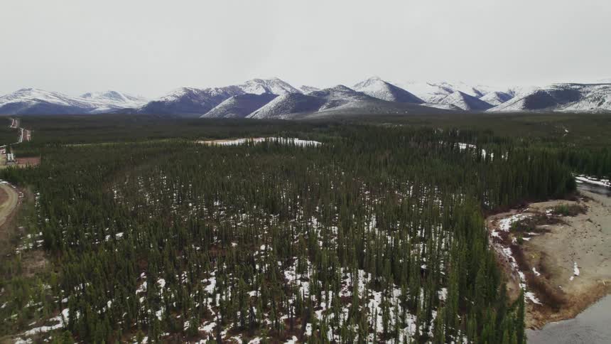 An evergreen forest bordered by a snow capped mountain range during the day