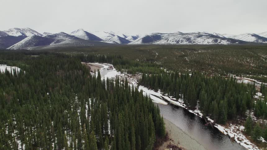 A river flows through a forest and toward snow capped mountains
