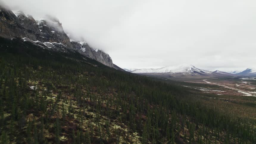 Forest of trees and mountains with snow on an overcast day