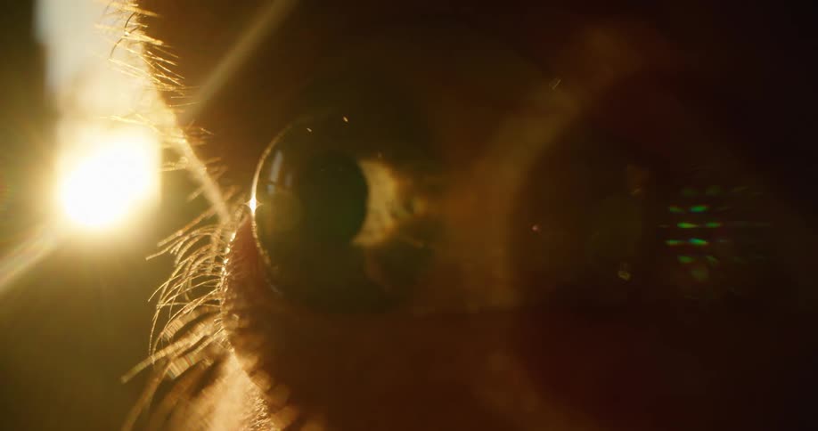 Close up of a persons eye as they open it and look around