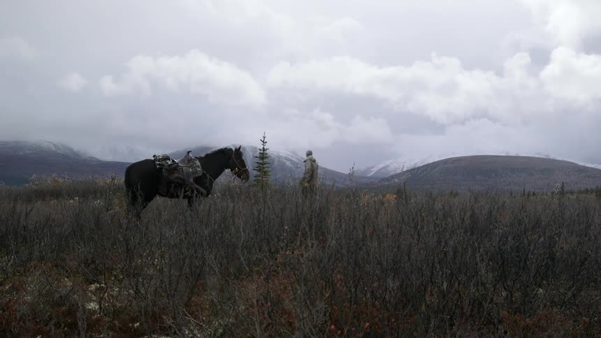 Person walking towards a horse that standing stationary wearing a saddle on a very cloudy day