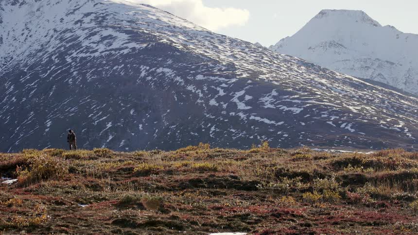 A person walks across dead field in front of a snowy mountain