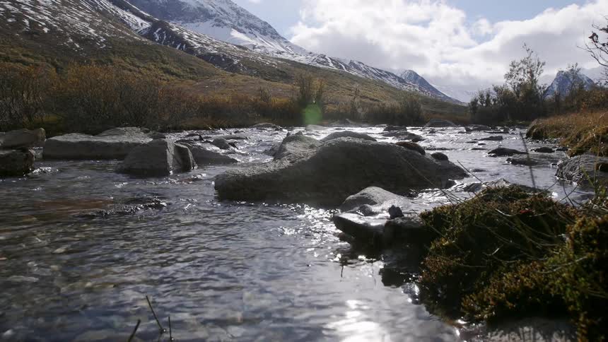 Water moves over rocks in a stream