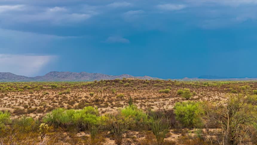A landscape with shrubs with a mountain range the sky and clouds in the background