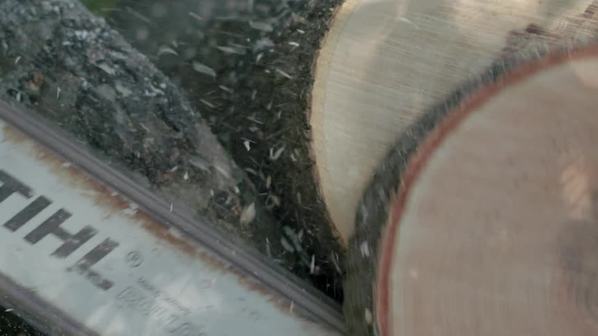 A stihl chainsaw cuts through a thick log