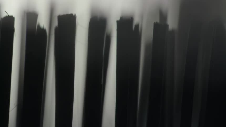 Black brushes move in a blurry area