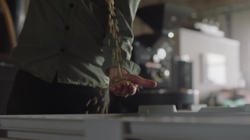 A person pouring grain into a their hand above a bin