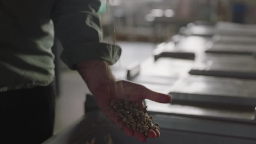 A person in a room pouring coffee beans from a scoop into their hand