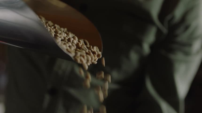 A person in a room pouring coffee beans from a scoop into their hand