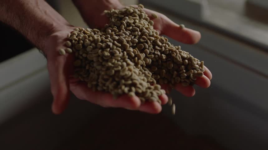Hands dig through a bin of grains and let it fall through the fingers