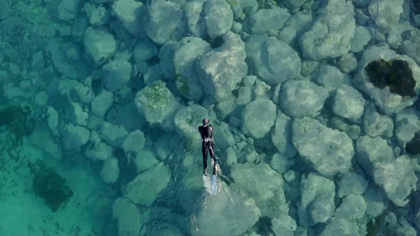 A diver in a wet suit swims through the clear waters of the ocean during the day