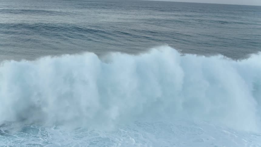 A group of surfers are moving in the waves