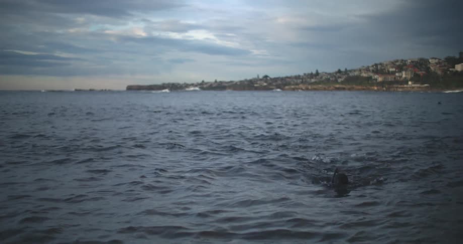 A person with a wetsuit flippers and snorkels swimming in the ocean with land the sky and clouds in the background