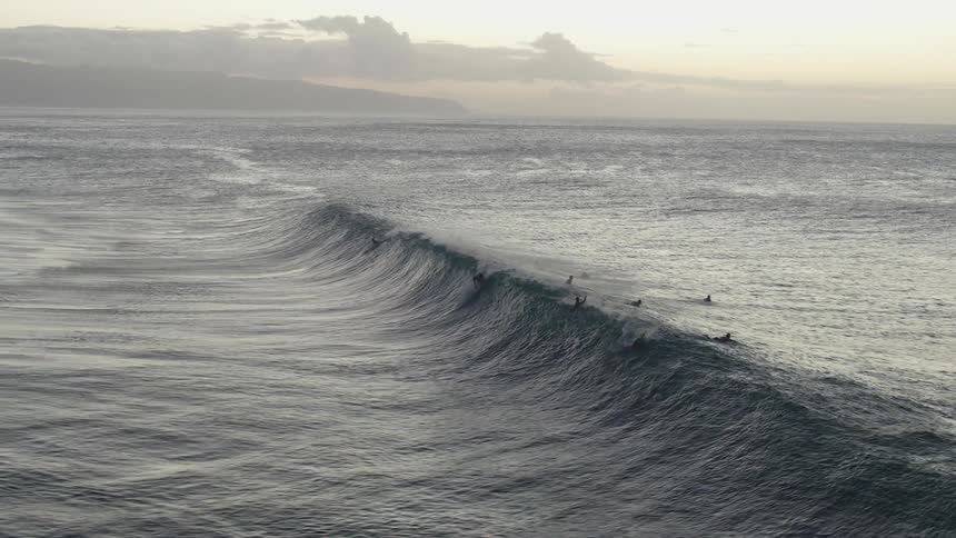 Surfers paddle in the ocean as a large wave rolls over them