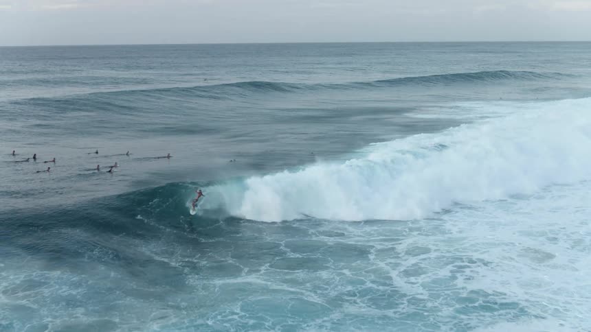 Surfers paddle in the ocean while one surfer surfs on a wave