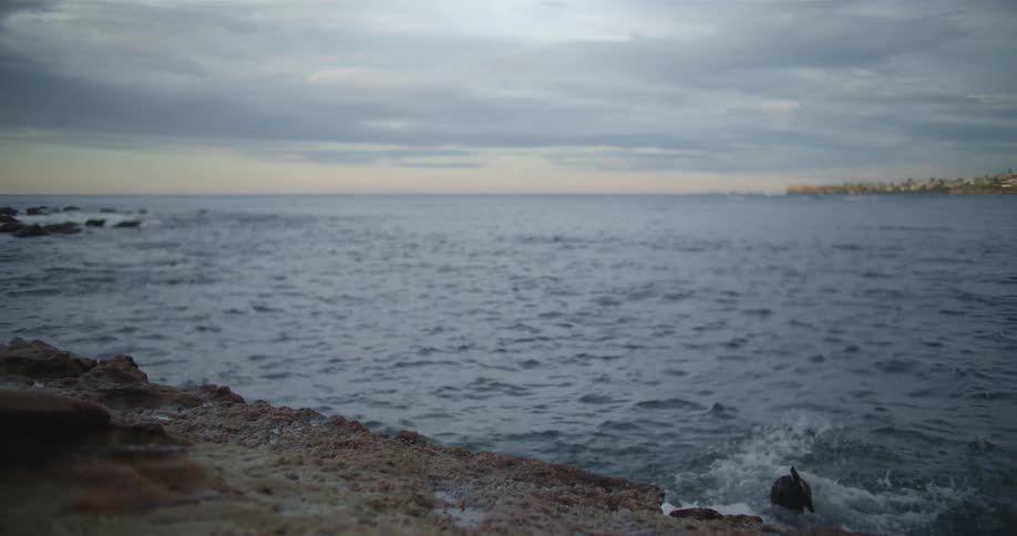 A snorkeler in a wet suit jumps off the rocks and splashes into the water