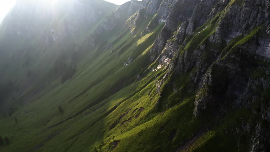 Sunlight shines over dense green grass growing on the side of a canyon