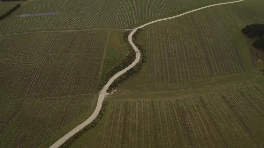 Car drives along winding country road past crop fields