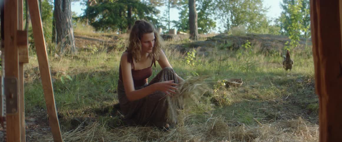 Woman crouches down spreading hay on ground near chicken coop as hens run around