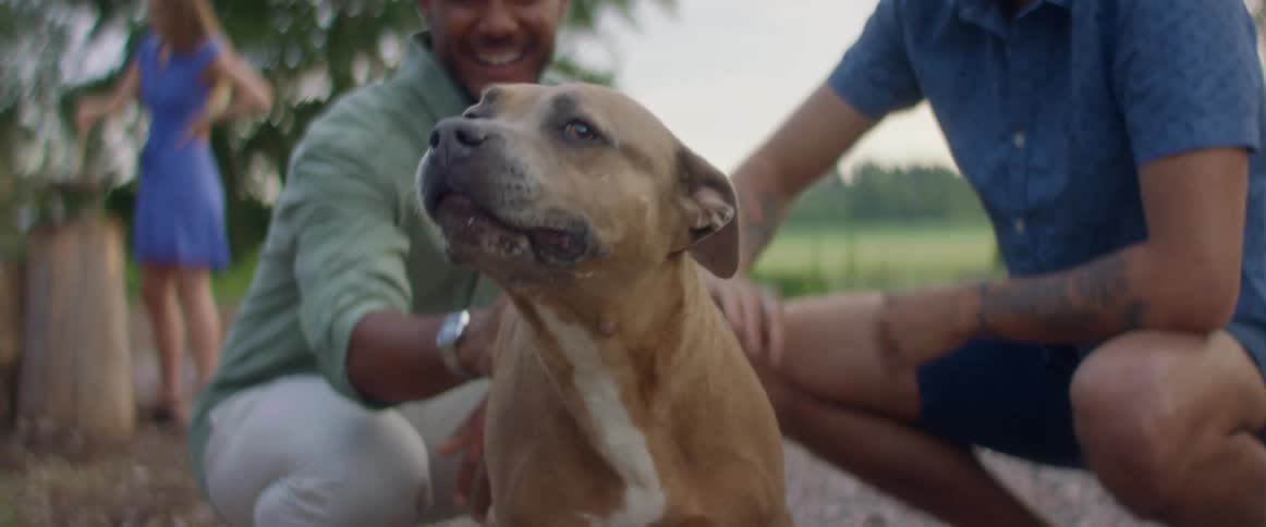 Two men are petting a dog outside