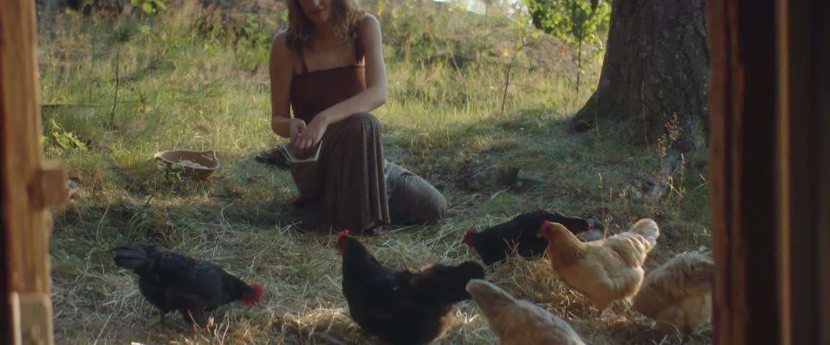 A woman with a scoop feeding chickens with trees the sky and clouds in the background