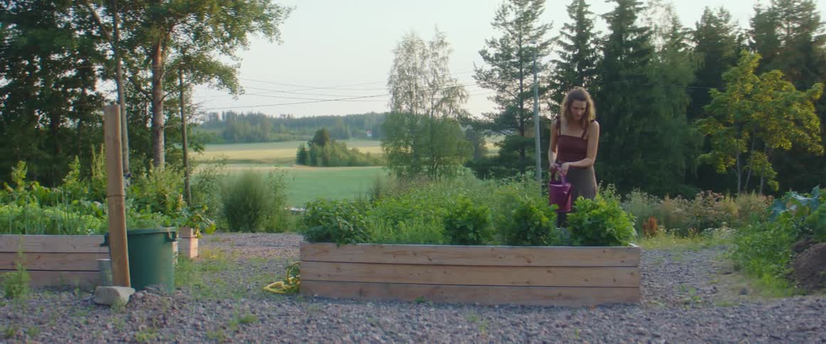 Woman wearing a dress watering the plants on a garden in the countryside