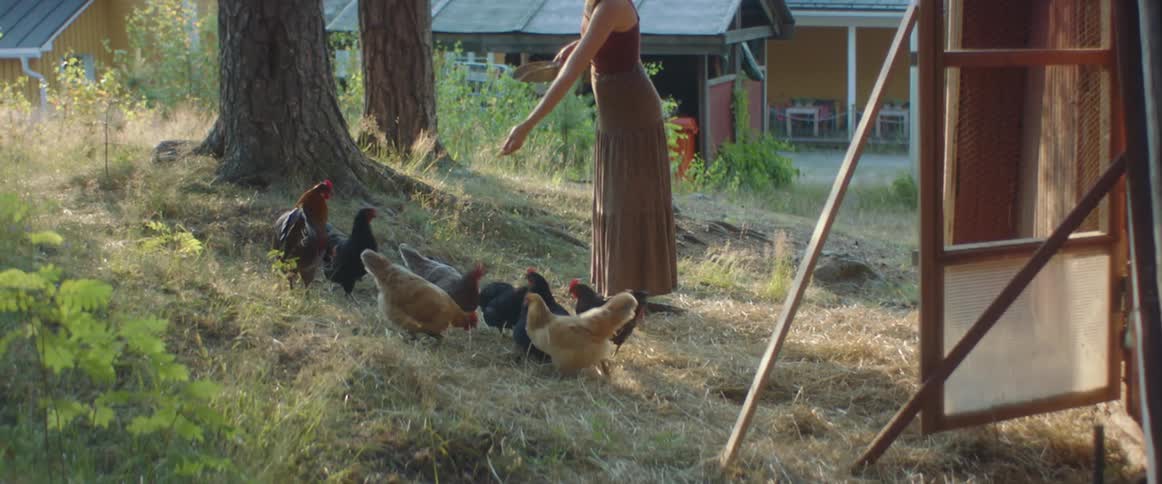 A woman feeds chickens in her backyard as they run around