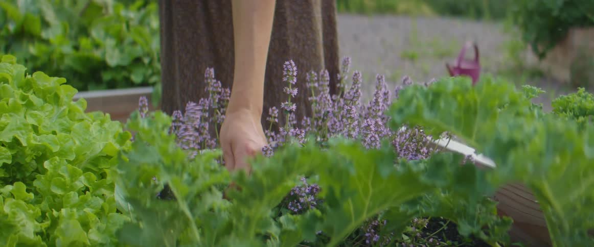 A woman picking up a flower