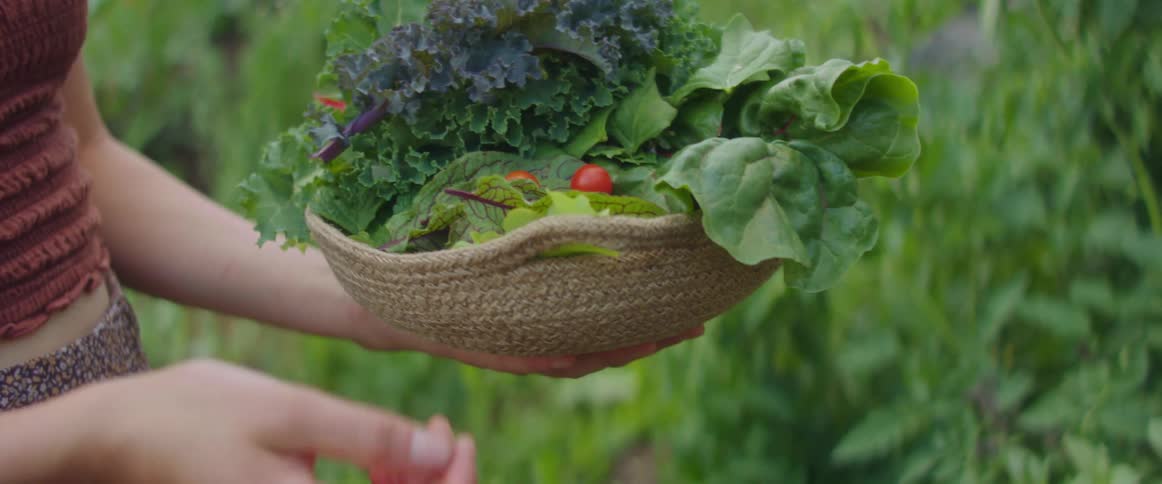 A woman in a garden putting vegetables in a basket with plants in the background