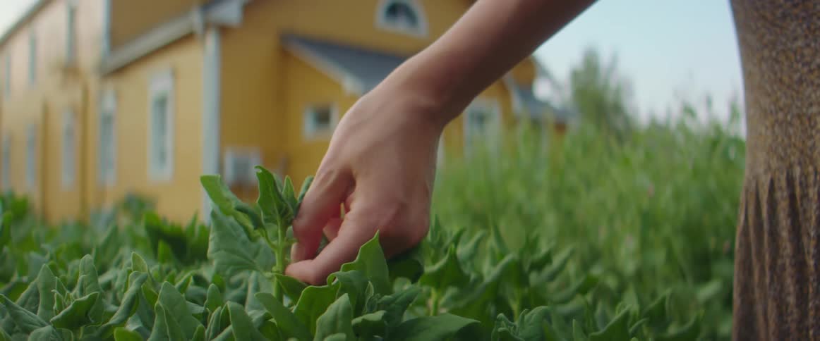 A woman grabbing a leaf