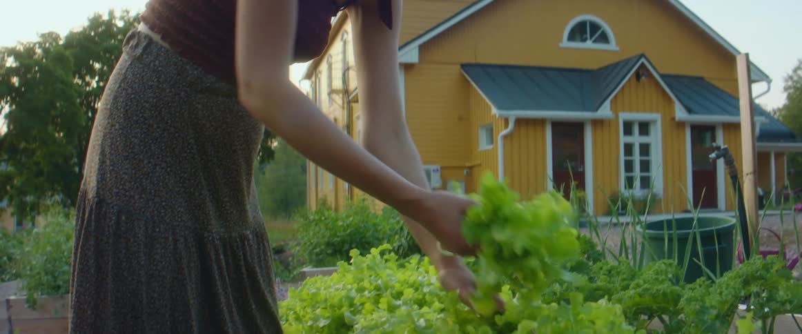 A woman picking plants from a garden