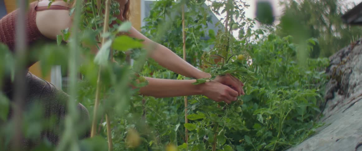 A woman in a garden picking vegetables with the sky and clouds in the background