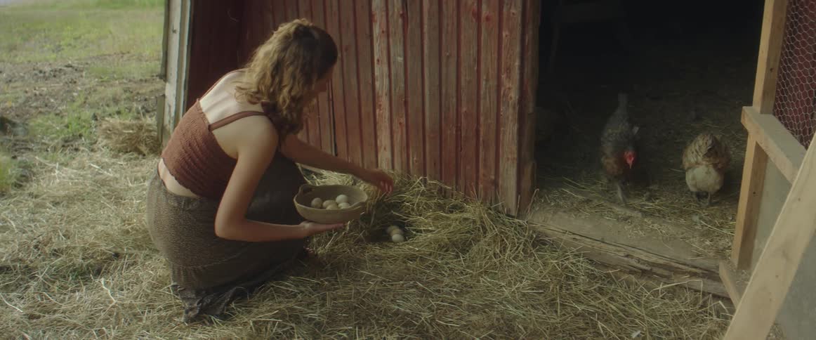 Woman crouches in straw near hens and hen house to gather eggs