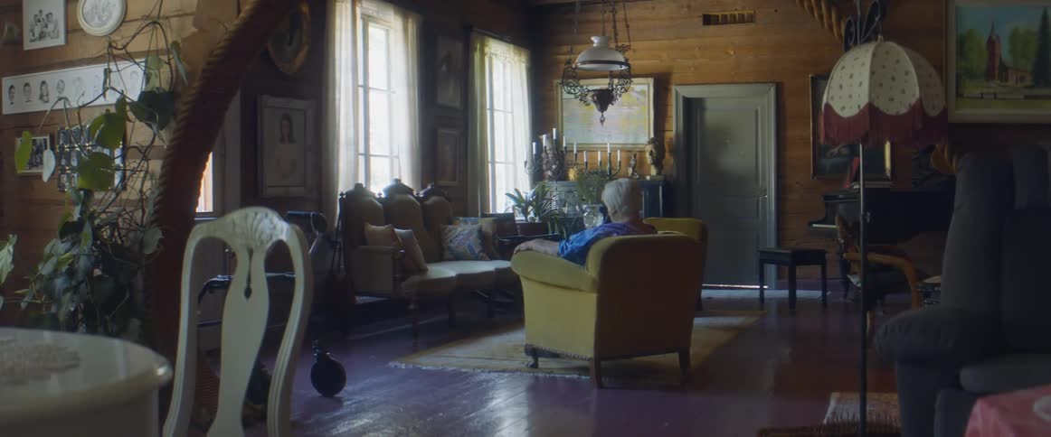 Elderly woman with grey hair and blue dress sits in brown armchair in the living room