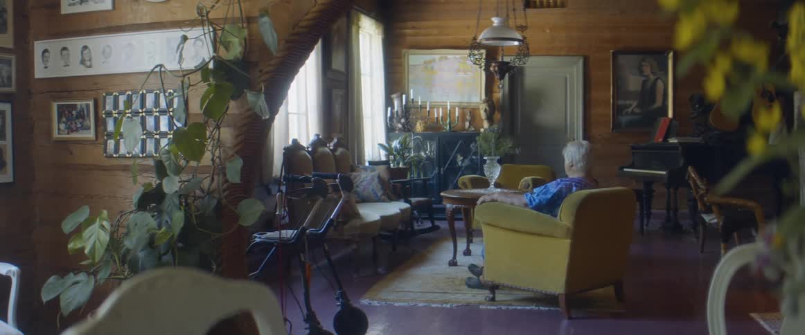 Elderly woman with grey hair and blue dress sits in brown armchair in the living room