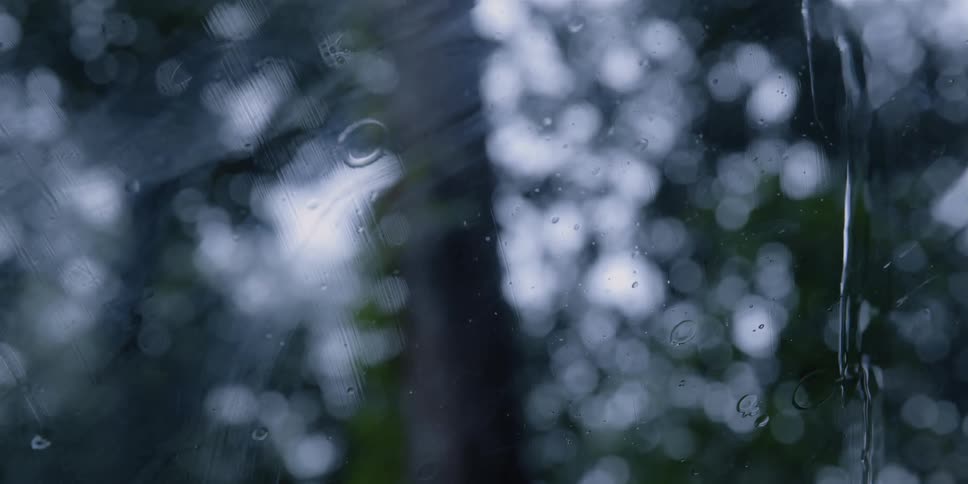 Rain falls on windshield with the blurry tree images in the background