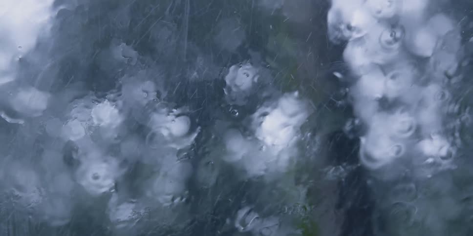 Wiper runs on car window showing house and yard with large trees