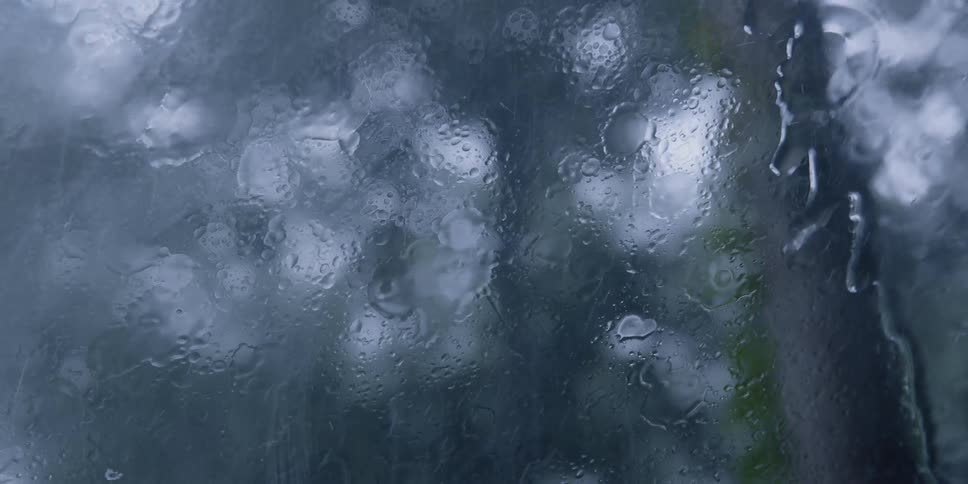 Wipers wiper the water on the windshield of a car parked under the rain near the trees