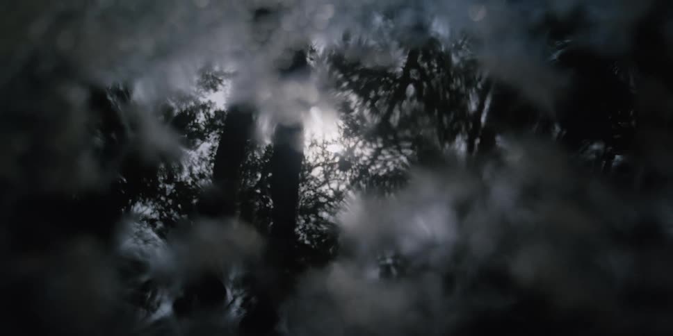 A view of a puddle on the ground
