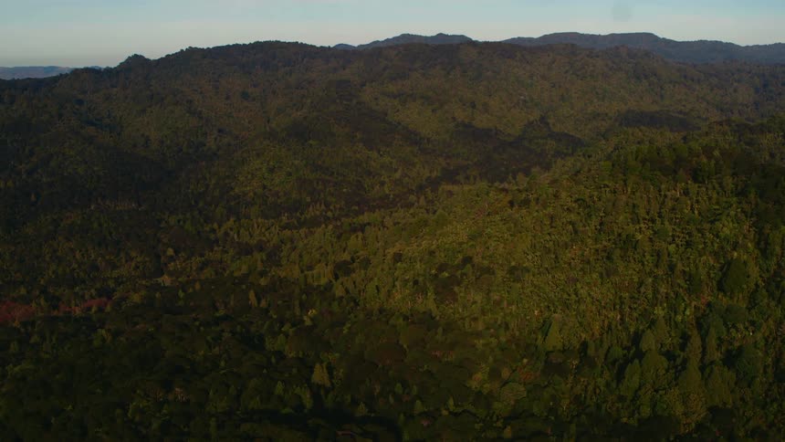 Forest and mountains sit under a cloudy blue sky