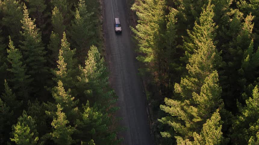 A vehicle travels along a narrow road through a forest during the day