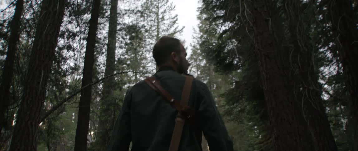 Man with straps over his shoulders walks through a forest