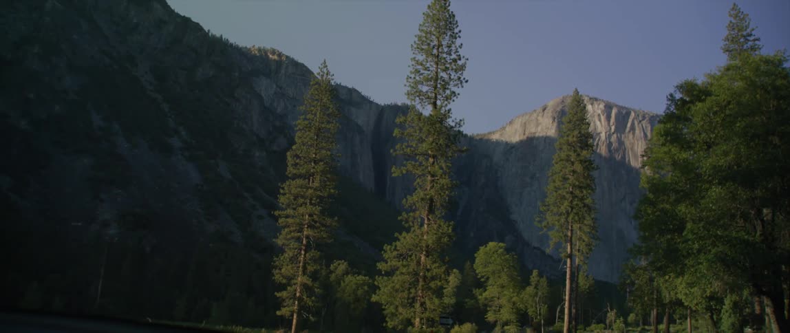 Tall pine trees growing next to a road through the mountains under a blue sky