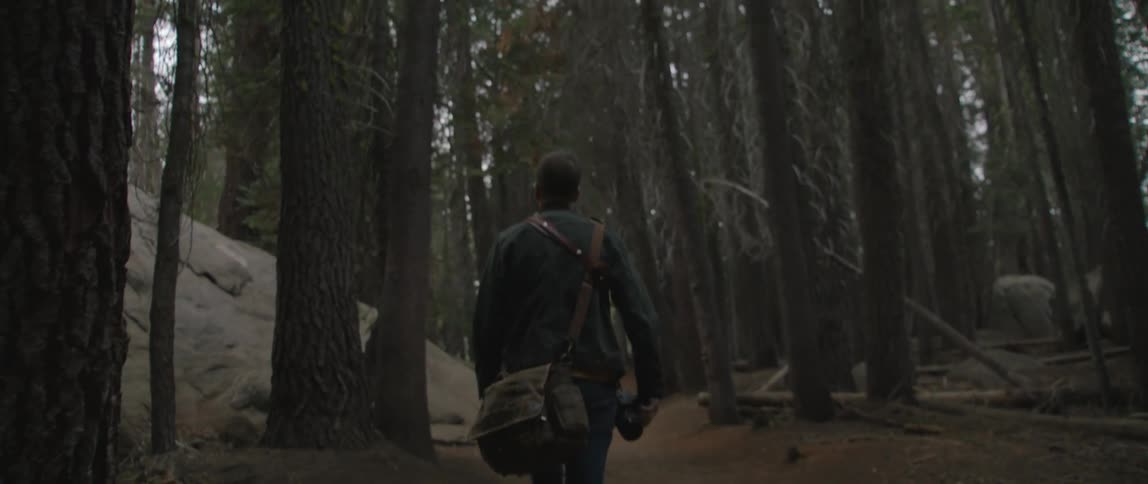 A man that is walking in a forest with camera gear