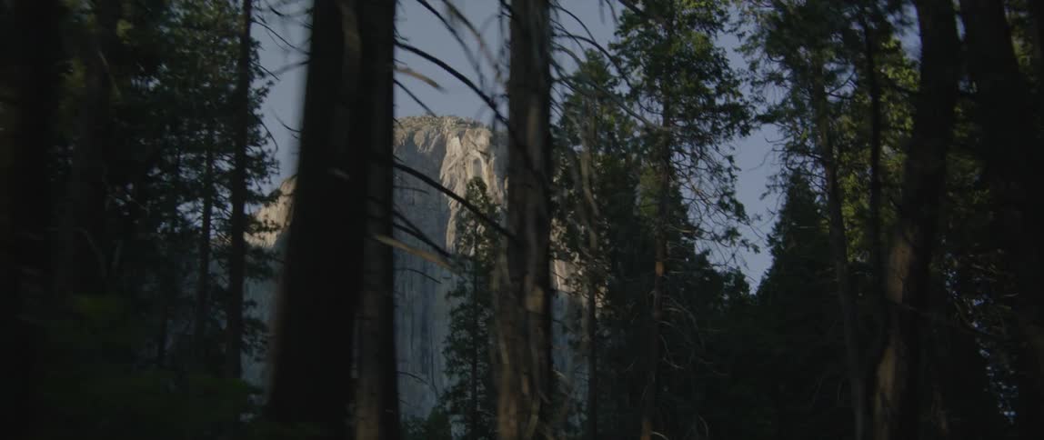 A large rocky mountain with a sheer cliff side is seen between tall forest trees