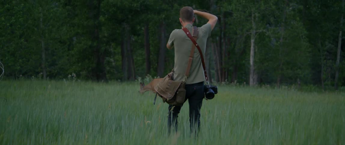Man photographs a deer in the grassy field next to the forest