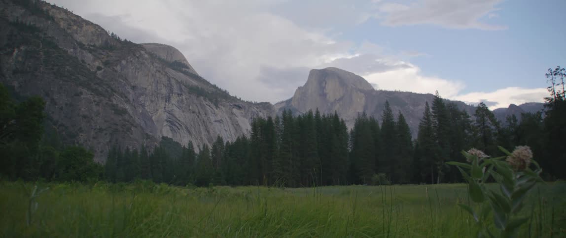Pine trees in front of a mountain range under a cloudy sky