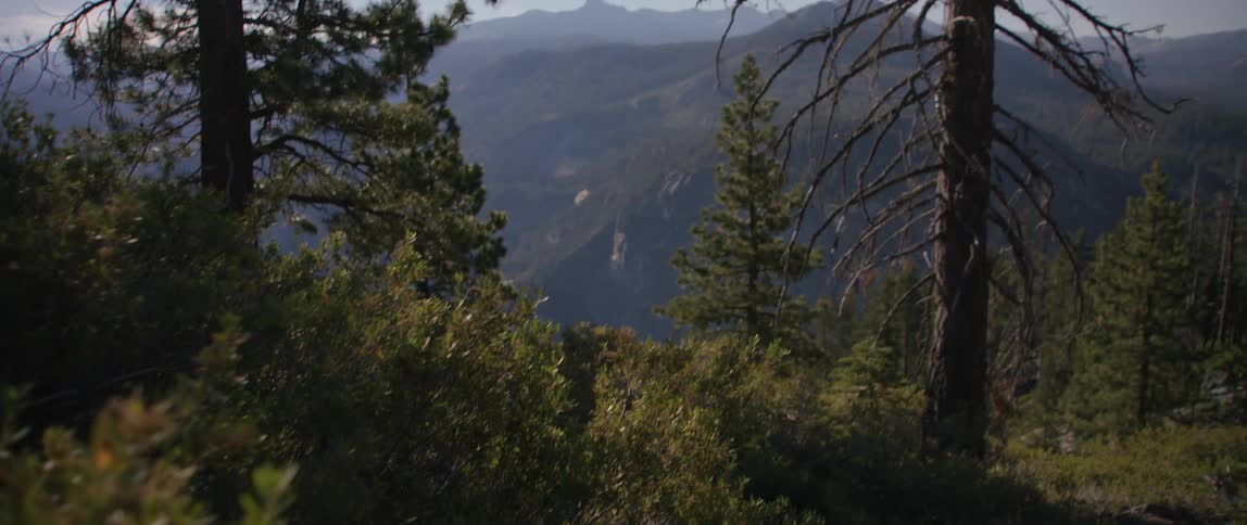 Landscape of mountain