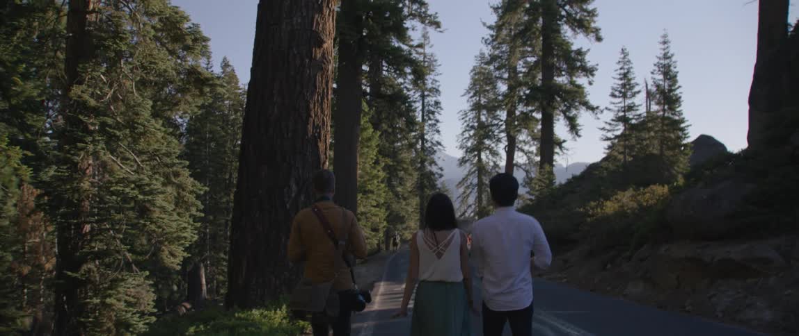 A trio of people talk along a trail that is lined with towering redwood trees