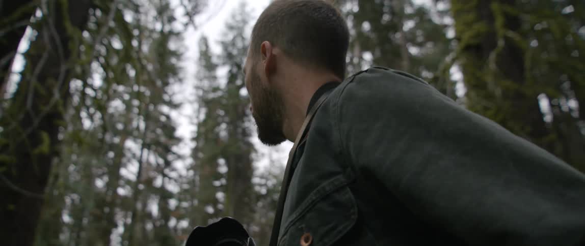 Photographer holding camera and standing in forest looks around